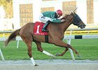 Ring Weekend won the 2014 Tampa Bay Derby.