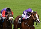 Leading Light Heads 11 for Irish St. Leger Leading Light Heads 11 for Irish St. Leger