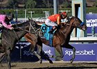 Secret Circle won the 2013 Breeders' Cup Sprint.
<br><a target="blank" href="http://photos.bloodhorse.com/BreedersCup/2013-Breeders-Cup/Sprint/33149951_TtjBB8#!i=2899910022&k=cbdjMXr">Order This Photo</a>