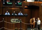 Hip 763, Suroof, a 7-year-old Empire Maker sold for $57,000 to top the third and final session.