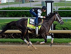 Intense Holiday is Pletcher's Standout Intense Holiday is Pletcher's Standout