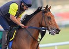 American Runners Set for World Cup Night American Runners Set for World Cup Night