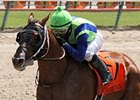 Mico Margarita won the 2013 Carry Back Stakes.