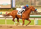 Blueskiesnrainbows takes on 7 in the Tokyo City Cup Stakes.