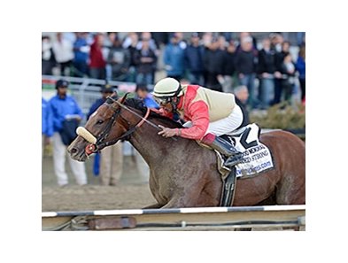 Wicked Strong<br><a target="blank" href="http://photos.bloodhorse.com/AtTheRaces-1/At-the-Races-2014/35724761_2vdnSX#!i=3162316731&k=Hdr9k6J">Order This Photo</a>