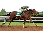 Don't Tell Sophia wins the Spinster Stakes.
<br><a target="blank" href="http://photos.bloodhorse.com/AtTheRaces-1/At-the-Races-2014/i-BN9p97x">Order This Photo</a>