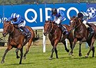 Pre-race favorite Taghrooda has 19 rivals to beat in the Prix de l'Arc de Triomphe.<br><a target="blank" href="http://photos.bloodhorse.com/AtTheRaces-1/At-the-Races-2014/i-qLCSG6L">Order This Photo</a>