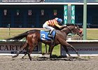 Ole's Miss won the 2014 Emerald Downs Handicap.