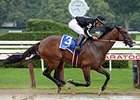 R Free Roll wins the Honorable Miss Handicap.
<br><a target="blank" href="http://photos.bloodhorse.com/AtTheRaces-1/At-the-Races-2014/i-MN9CDWs">Order This Photo</a>