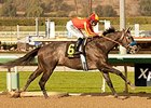Midnight Hawk: A Mating of Two Sprinters? Midnight Hawk: A Mating of Two Sprinters?