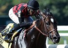 Covello Weighing Dirt Mile for River Rocks Covello Weighing Dirt Mile for River Rocks