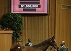Filly, Two Colts Each Bring More than $1M Filly, Two Colts Each Bring More than $1M