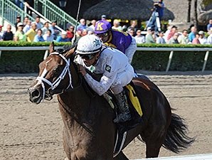 Constitution to Make Stakes Debut in FL Derby Constitution to Make Stakes Debut in FL Derby
