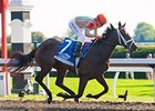 My Conquestadory is undefeated in 2 starts.<br><a target="blank" href="http://photos.bloodhorse.com/AtTheRaces-1/at-the-races-2013/27257665_QgCqdh#!i=2810705780&k=5fSHP3V">Order This Photo</a>