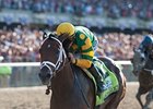 Palace Malice<br><a target="blank" href="http://photos.bloodhorse.com/TripleCrown/2013-Triple-Crown/Belmont-Stakes-145/29744699_jpqpwR#!i=2563009344&k=3BNBp2X">Order This Photo</a>
