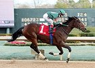 Don't Tell Sophia won the 2014 Bayakoa Stakes.