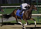 Kentucky Oaks Favorite Untapable All Business Kentucky Oaks Favorite Untapable All Business