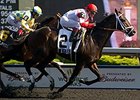 We Miss Artie won the 2014 Woodbine Plate Trial Stakes.