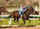 Awesome Baby won the 2014 Santa Ynez.