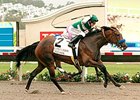 Iotapa finishes strong to win the Clement L. Hirsch Stakes.