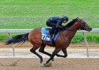 War Front Colt Tops Strong Midlantic Opener War Front Colt Tops Strong Midlantic Opener