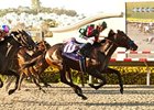 Del Mar Futurity (gr. I) winner Tamarando faces 10 in the California Cup Derby.