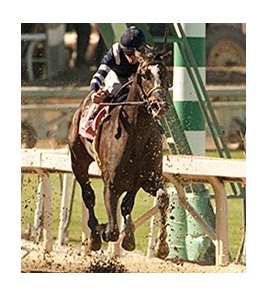 Schoolofhardrocks finished fourth in the San Felipe Stakes.