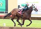 Hold For More wins the Northern Lights Futurity.