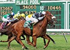 Main Sequence Scores in United Nations Stakes Main Sequence Scores in United Nations Stakes