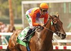 Beholder takes on seven, including Joyful Victory, in the Zenyatta Stakes.