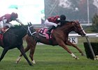 Testa Rossi faces 12 in the Ashland Stakes.<br><a target="blank" href="http://photos.bloodhorse.com/AtTheRaces-1/at-the-races-2013/27257665_QgCqdh#!i=2815276573&k=cTXMHxB">Order This Photo</a>