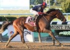 Tonalist won the 2014 Jockey Club Gold Cup Stakes. <br><a target="blank" href="http://photos.bloodhorse.com/AtTheRaces-1/At-the-Races-2014/i-Fc3BFj2">Order This Photo</a>