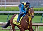 Partners Share Thrill of Breeding Derby Horse Partners Share Thrill of Breeding Derby Horse