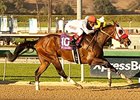 Big Macher won the 2014 California Cup Sprint.