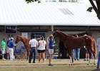 Positive Outlook for Fasig-Tipton Yearlings Positive Outlook for Fasig-Tipton Yearlings