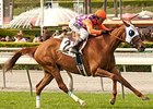 Parranda wins the Wilshire Stakes.
