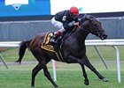 Boisterous won the 2013 Man o' War Stakes. <br><a target="blank" href="http://photos.bloodhorse.com/AtTheRaces-1/at-the-races-2013/27257665_QgCqdh#!i=2632746941&k=dZ4x24r">Order This Photo</a>