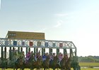 Winner Tameraine, #8, at the start of the Kentucky Turf Cup.
