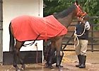 Royal Ascot - Little Bridge & Danny Shum Royal Ascot - Little Bridge & Danny Shum