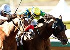 Rich Tapestry, Big Macher in Sprint Works Rich Tapestry, Big Macher in Sprint Works