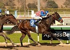 Awesome Baby faces 7 in the Santa Ysabel at Santa Anita Park.