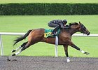 Hip No. 1070, a Scat Daddy colt, went a quarter in :20 1/5.