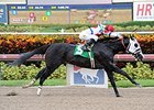 Bahamian Squall wins an allowance/optional claiming allowance race at Gulfstream Park on October 2.