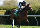 Daring Dancer wins the Appalachian Stakes. <br><a target="blank"http://photos.bloodhorse.com/AtTheRaces-1/at-the-races-2013/27257665_QgCqdh#!i=2443841913&k=xwF3gGm">Order This Photo</a>
