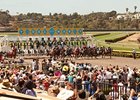 Del Mar Racing