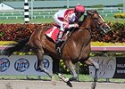Normandy Invasion rolls to victory at Gulfstream Park.<br><a target="blank" href="http://photos.bloodhorse.com/AtTheRaces-1/At-the-Races-2014/35724761_2vdnSX#!i=3088094862&k=XPfQQVv">Order This Photo</a>