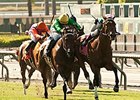 Miss Serendipity just beats Emollient in the Gamely Stakes.