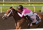 Lexie Lou makes her turf debut Aug. 10 in the Wonder Where Stakes.