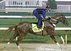 Tapiture works in the rain April 28.