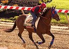 Social Inclusion, Bayern Prep for Preakness Social Inclusion, Bayern Prep for Preakness